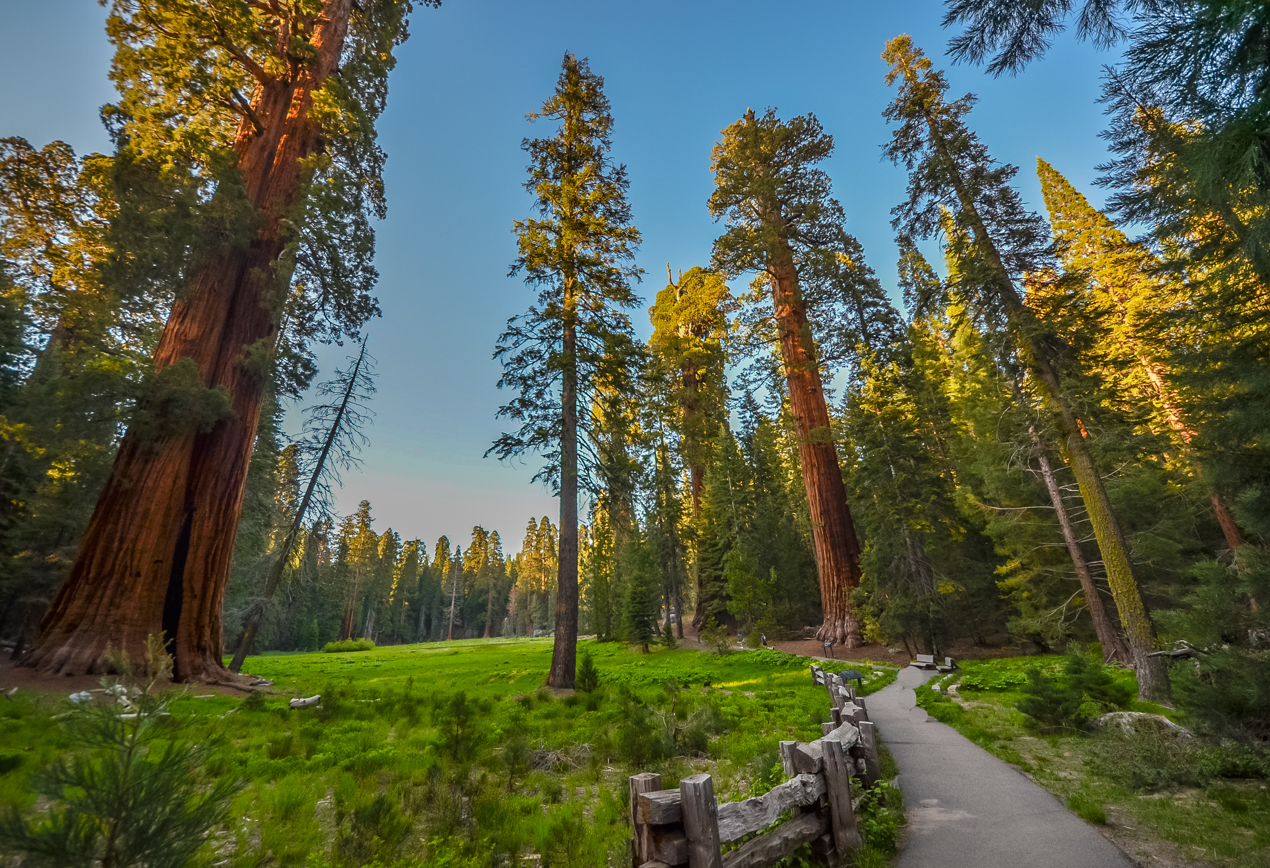 Heldagstur I Sequoia National Park Og Kings Canyon National Park ...