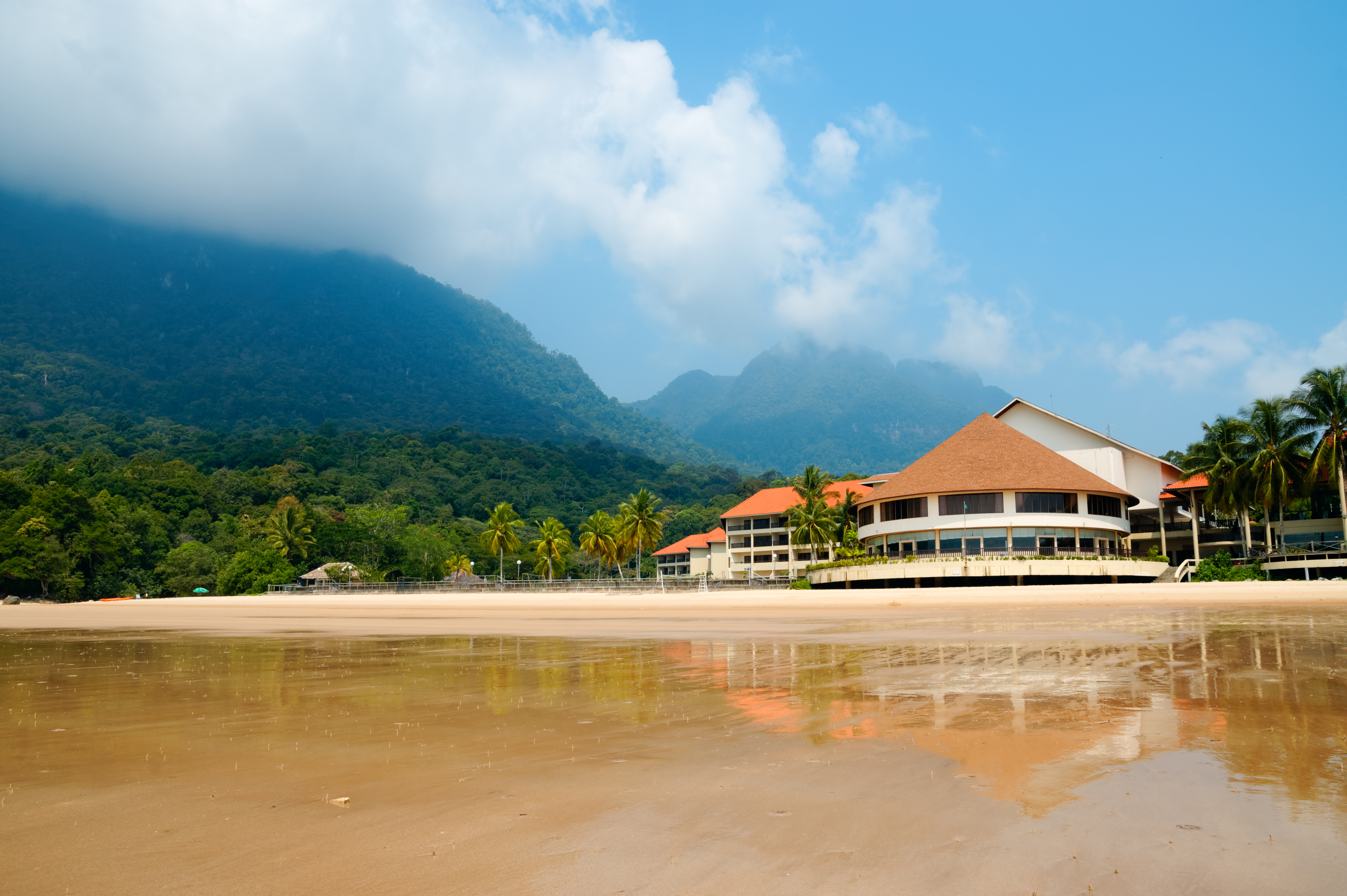 Damai Beach Resort - Flot Udsigt Og Grøn Jungle - Bestil Her