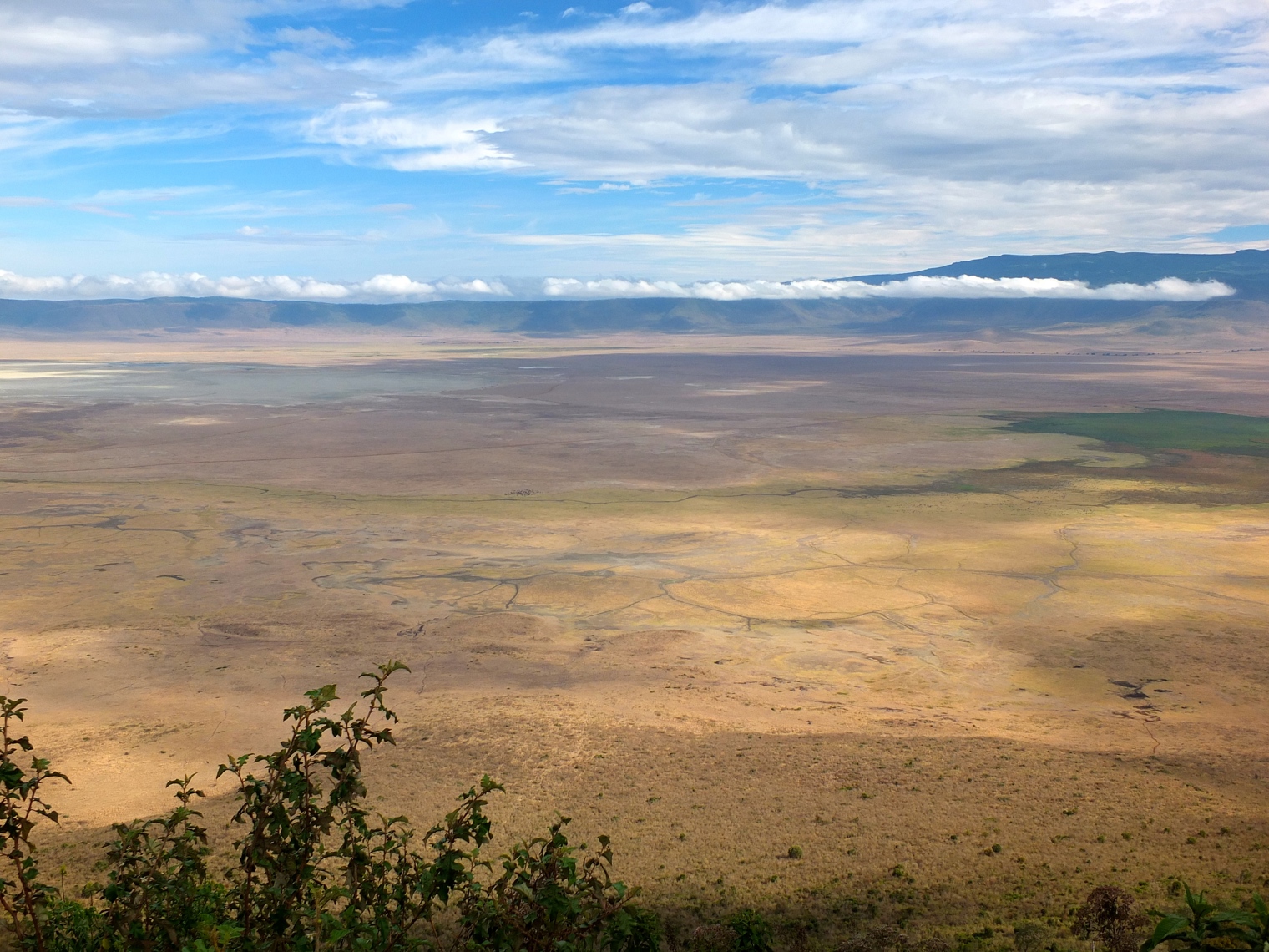 Ngorongoro National Park Tanzania safari med CPT